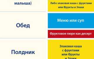 Прикорм ребенка в 7 месяцев на грудном вскармливании: советы и рекомендации