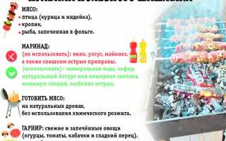 Когда можно шашлык детям: правило и альтернативное решение для безопасного питания