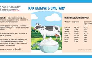 Когда ребенку можно есть сметану: советы и рекомендации
