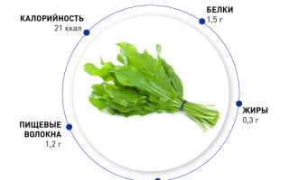 Чем полезен щавель для детей и их здоровья