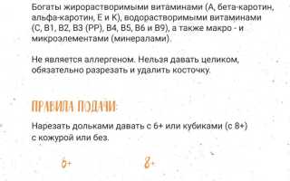 Давать ли ребенку персики — непростые для детского организма фрукты: советы и рекомендации