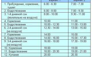 Режим дня и питания в 8 месяцев: советы для родителей