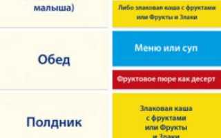 Чем кормить ребенка в 8 месяцев для здорового развития
