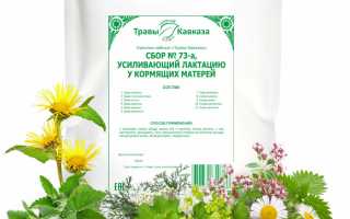 Какие травы повышают лактацию: список лучших для кормящих мам