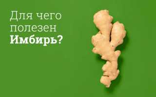 Можно ли имбирь при грудном вскармливании: полезные советы и рекомендации
