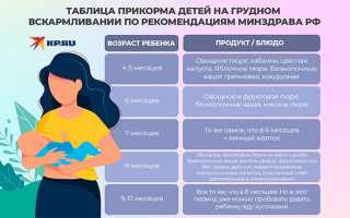 Особенности прикорма грудничка в 9 месяцев: советы и рекомендации
