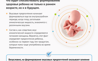 Психология детского питания: правила организации, борьба с пищевым расстройством и советы для родителей