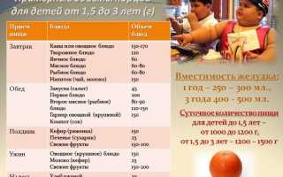 Рацион питания ребенка в 2 года: правила и продукты для здоровья