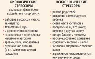 Питание снижает или увеличивает уровень стресса подростков: важные аспекты