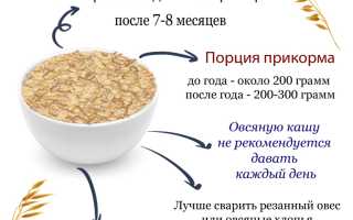 Овсяная каша для детей: польза, когда вводить в рацион и рекомендации по приготовлению
