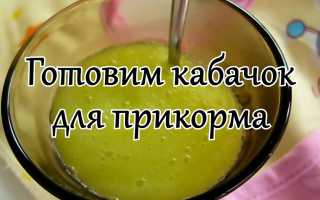 Готовим кабачок для первого прикорма самостоятельно и даем ребенку правильно и с любовью