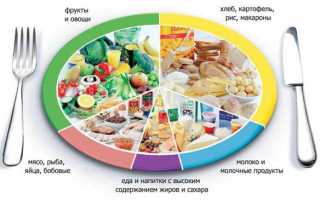 Виды детского питания и их назначение для здоровья детей