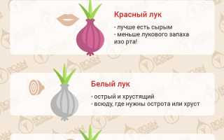 Можно ли давать и чем полезен лук и луковый сок ребенку для здоровья?