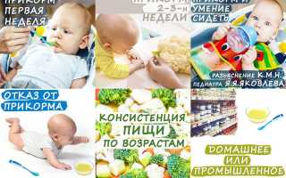 Питание ребенка в 6 месяцев: на ГВ, на искусственном и рекомендации специалистов