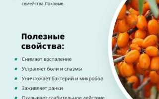 Чем может быть полезна детям облепиха, и с какого возраста её лучше давать для здоровья