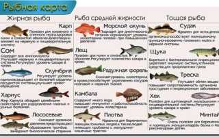 Какую рыбу можно давать ребенку с 3 лет для здоровья