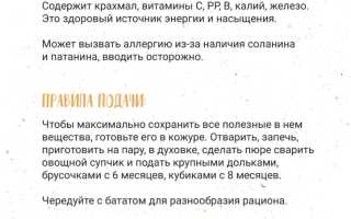 Картофельное пюре ребенку: советы для рациона детей до 12 лет и их здоровья