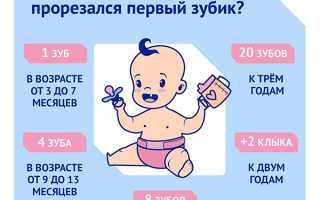 Сколько должен есть ребенок в 8 месяцев для здорового роста