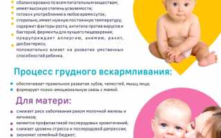 Творог и грудное вскармливание: методы взаимодействия для здоровья