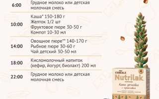 Примерное меню ребенка в 9 месяцев на каждый день и неделю для здоровья