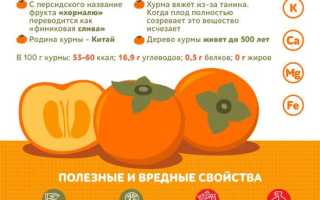 Когда и в каком количестве можно хурму при грудном вскармливании для здоровья