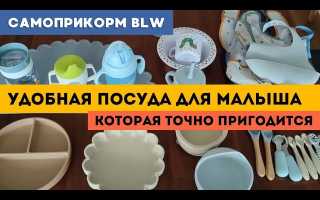 Как выбрать детскую посуду для самоприкорма: советы и рекомендации