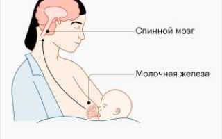 Откуда миф о том, что ваше грудное молоко не подходит ребенку: факты и мнения