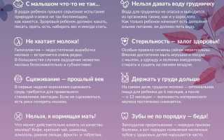 Можно ли консервы на ГВ для детей?