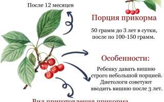 Можно ли вишню детям: особенности прикорма, возрастные нормы и рекомендации