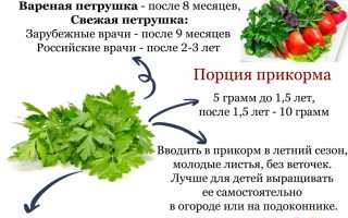 Можно ли давать ребенку петрушку? С какого возраста и в каких количествах?