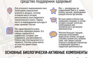 Семена льна и грудное вскармливание: лактогонные и другие полезные свойства для здоровья мамы и малыша