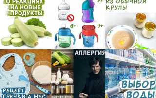 Новые продукты в прикорме грудничка в 7 месяцев: полезные советы