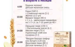 Ребенок в 7 месяцев: примерное меню, развитие и питание для здоровья