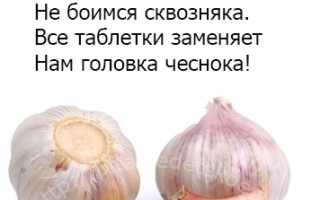Можно ли детям чеснок и с какого возраста? Узнайте мнение врачей