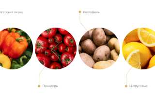4 продукта, поддерживающих тонус организма зимой для здоровья и энергии