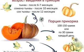 Сколько варить тыкву для детского пюре: советы и рекомендации