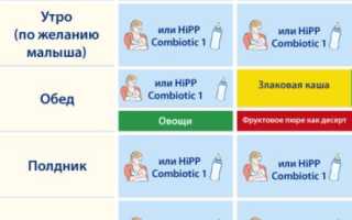 Схема прикорма с 5 месяцев для здорового питания