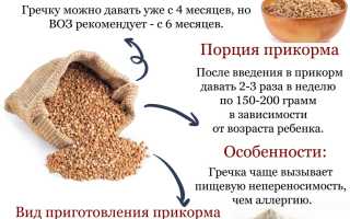 Прикорм гречневой кашей в деталях и нюансах
