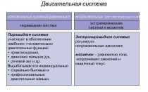 Синдромы поражения пирамидного пути и экстрапирамидной системы