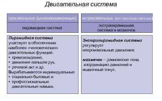 Синдромы поражения пирамидного пути и экстрапирамидной системы