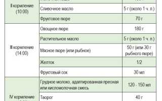 Рацион питания ребенка в 8 месяцев и пример меню для здоровья