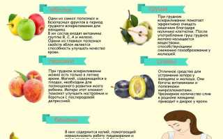 Когда можно апельсины на грудном вскармливании для мамы