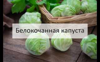 С какого возраста можно белокочанную капусту ребенку для здоровья?