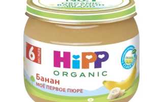 Детское питание: рейтинг мясное пюре от 6 до 10 месяцев для малышей