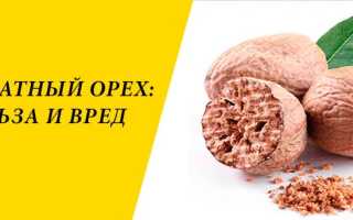 Мускатный орех детям: с какого возраста можно давать и как использовать