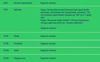 Педагогический прикорм при грудном вскармливании: советы и рекомендации