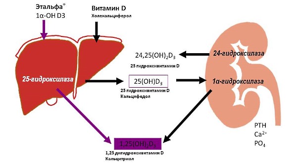 Механизм действия Этальфы