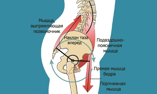 Еще одна причина боли в поясничном отделе - неправильная техника наклонов вперед