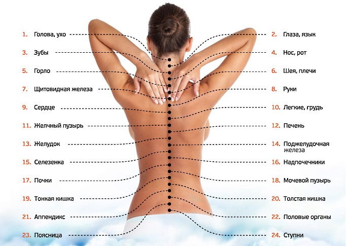 На теле человека существует огромное количество нервных центров, отвечающие за каждый орган