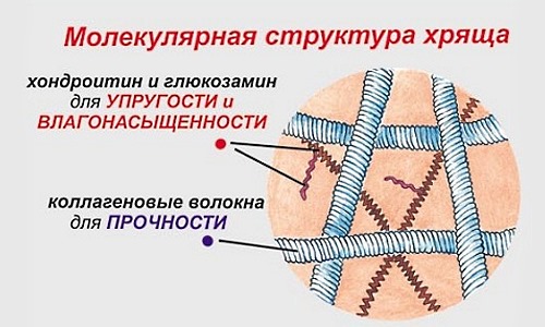 Хондропротекторы нацелены на восстановление хрящевой ткани